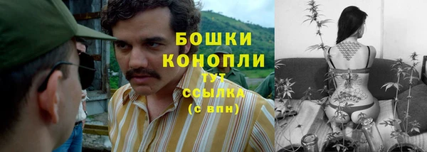 тгк Белокуриха