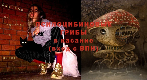 тгк Белокуриха