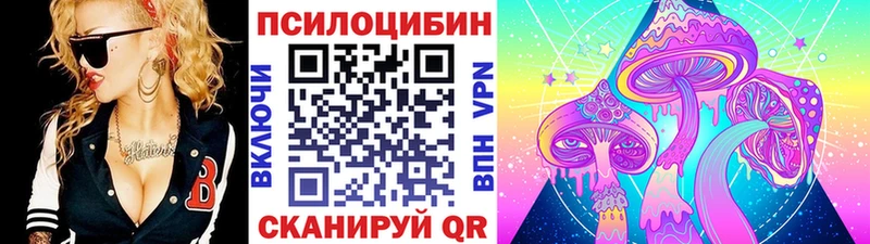 кракен как войти  Безенчук  Псилоцибиновые грибы Cubensis 